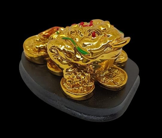 Money Vastu Feng Shui Frog