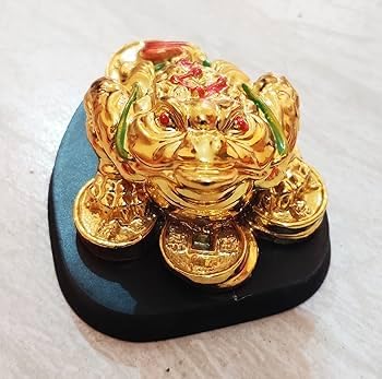 Money Vastu Feng Shui Frog