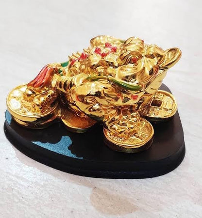 Money Vastu Feng Shui Frog