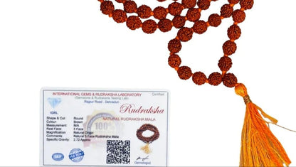 Panchmukhi Rudraksha Mala