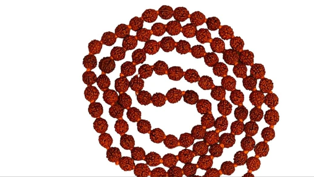 Panchmukhi Rudraksha Mala